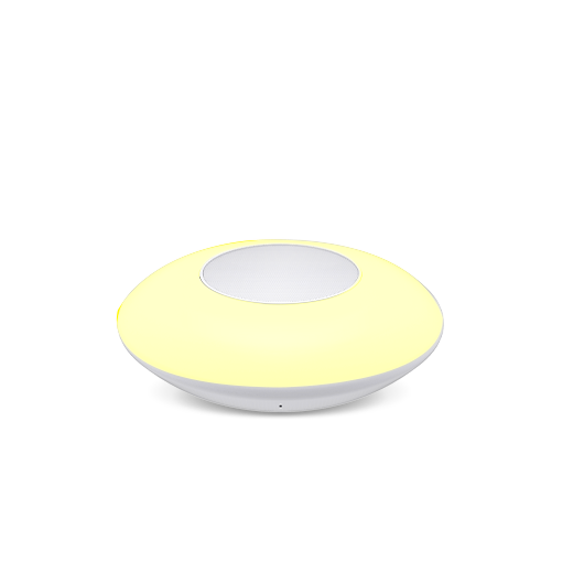 WS-2