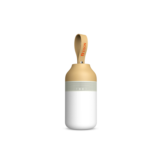 WS-3